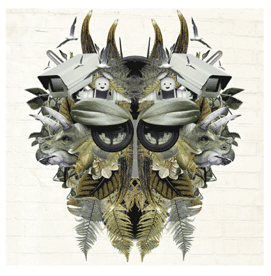 insect-05