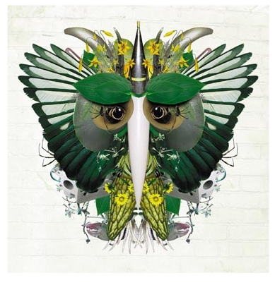 insect-06