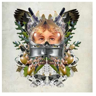 insect-08